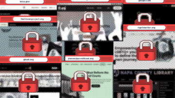 Illustration of cascading website browsers for sites like Wikipedia, Google, Nasa, It Gets Better and The Trevor Project; the browser windows have an inverted halftone filter that obscures the site's content